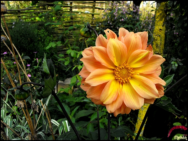 Image hébergée par Casimages.com : votre hébergeur d images simple et gratuit