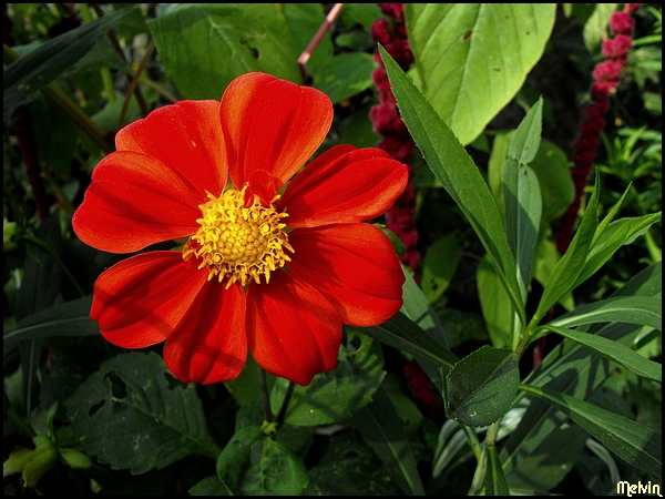 Image hébergée par Casimages.com : votre hébergeur d images simple et gratuit
