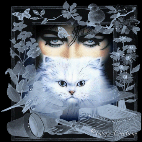 Image h�berg�e par Casimages.com : votre h�bergeur d images simple et gratuit