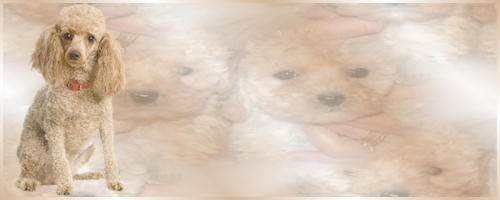 Image hébergée par Casimages.com : votre hébergeur d images simple et gratuit