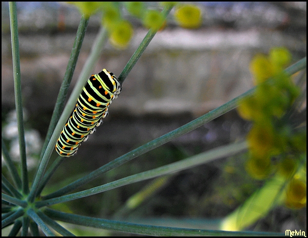 Image hébergée par Casimages.com : votre hébergeur d images simple et gratuit