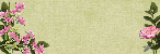 Image hébergée par Casimages.com : votre hébergeur d images simple et gratuit