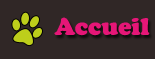 Accueil Accueil