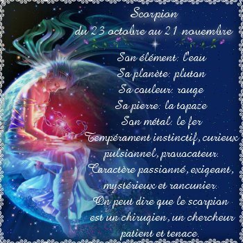 voir l'image en taille réelle