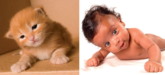 Image hébergée par Casimages.com : votre hébergeur d images simple et gratuit