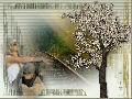 Hebergement gratuit d image et photo
