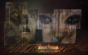 Fond_ecran-Demon