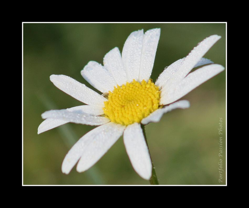 Image hébergée par Casimages.com : votre hébergeur d images simple et gratuit