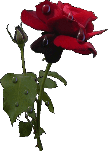 Image hébergée par Casimages.com : votre hébergeur d images simple et gratuit