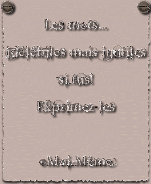 voir l'image en taille réelle
