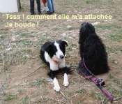 Hebergement gratuit d image et photo