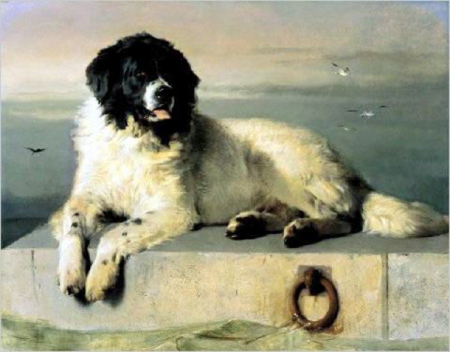 Boatswain, le chien de Lord Byron · Benvenguda