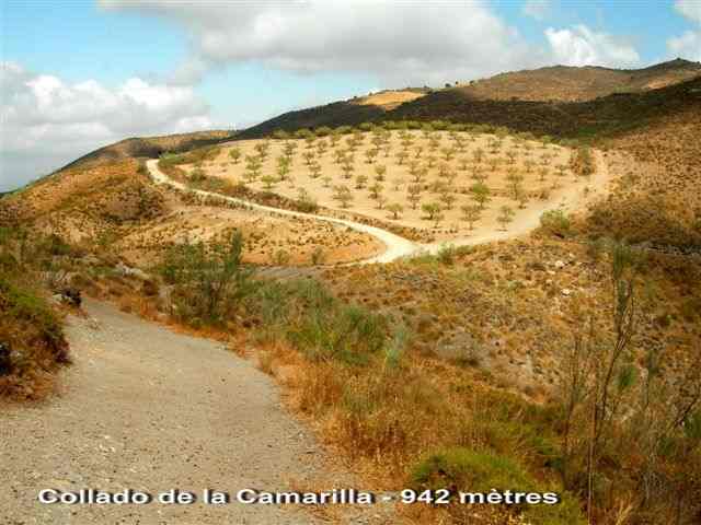 Collado de la Camarilla - ES-AL-0960