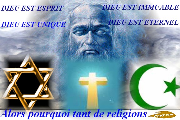 voir l'image en taille réelle