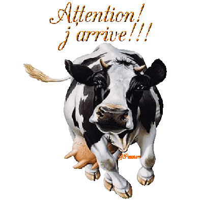 Image hébergée par Casimages.com : votre hébergeur d images simple et gratuit