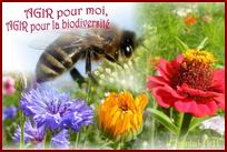 Image h�berg�e par Casimages.com : votre h�bergeur d images simple et gratuit