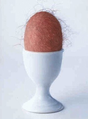 voir l'image en taille réelle