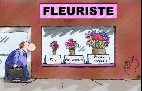 voir l'image en taille réelle