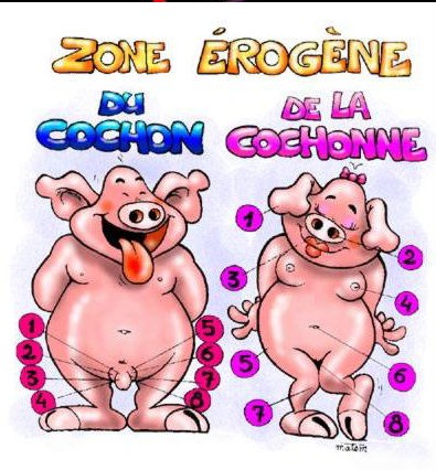 voir l'image en taille réelle