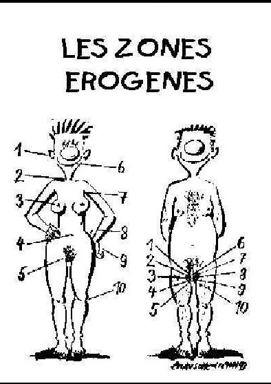 voir l'image en taille réelle