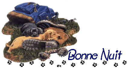 Image hébergée par Casimages.com : votre hébergeur d images simple et gratuit