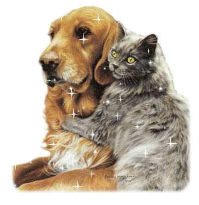 Image hébergée par Casimages.com : votre hébergeur d images simple et gratuit