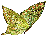 Image hébergée par Casimages.com : votre hébergeur d images simple et gratuit