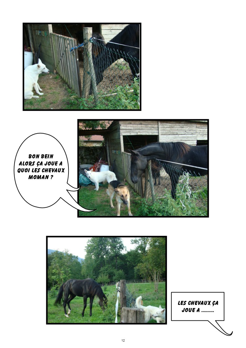 Image h�berg�e par Casimages.com : votre h�bergeur d images simple et gratuit
