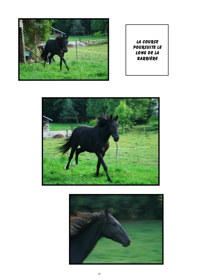 Image h�berg�e par Casimages.com : votre h�bergeur d images simple et gratuit
