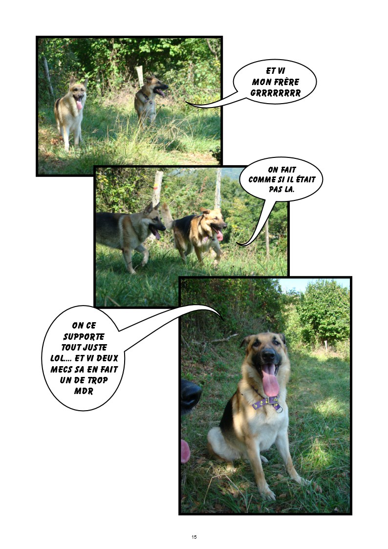 Image h�berg�e par Casimages.com : votre h�bergeur d images simple et gratuit