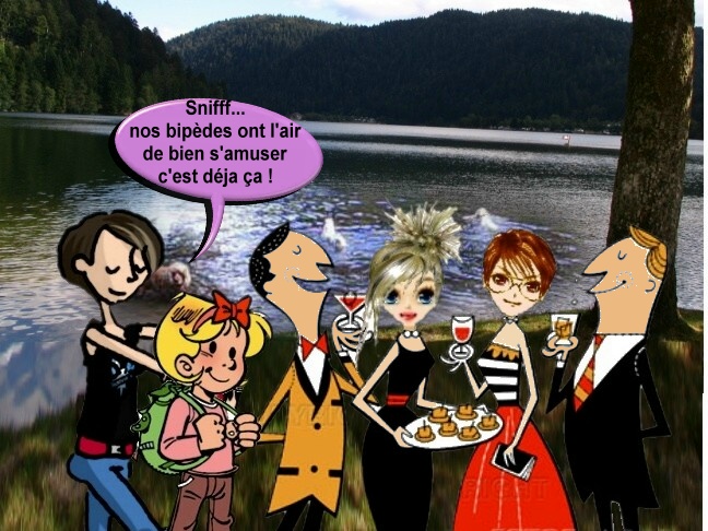 Image hébergée par Casimages.com : votre hébergeur d images simple et gratuit
