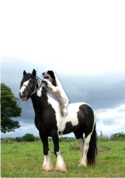 Image hébergée par Casimages.com : votre hébergeur d images simple et gratuit