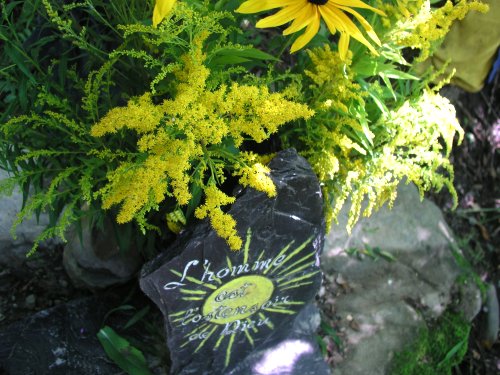 chemin mystique sherbrooke