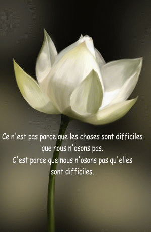 Image hébergée par Casimages.com : votre hébergeur d images simple et gratuit