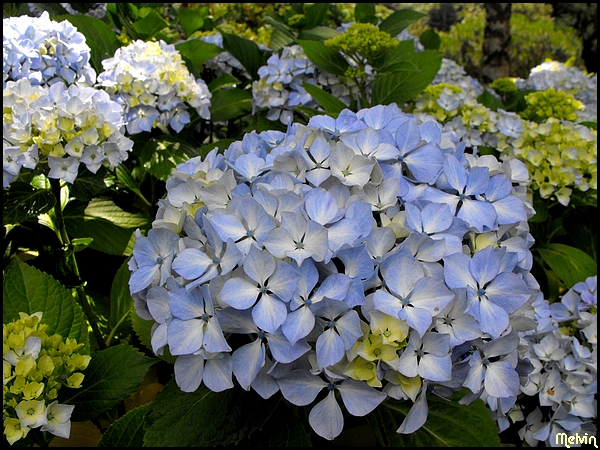 Image hébergée par Casimages.com : votre hébergeur d images simple et gratuit