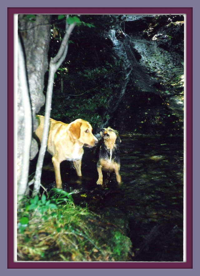Image hébergée par Casimages.com : votre hébergeur d images simple et gratuit