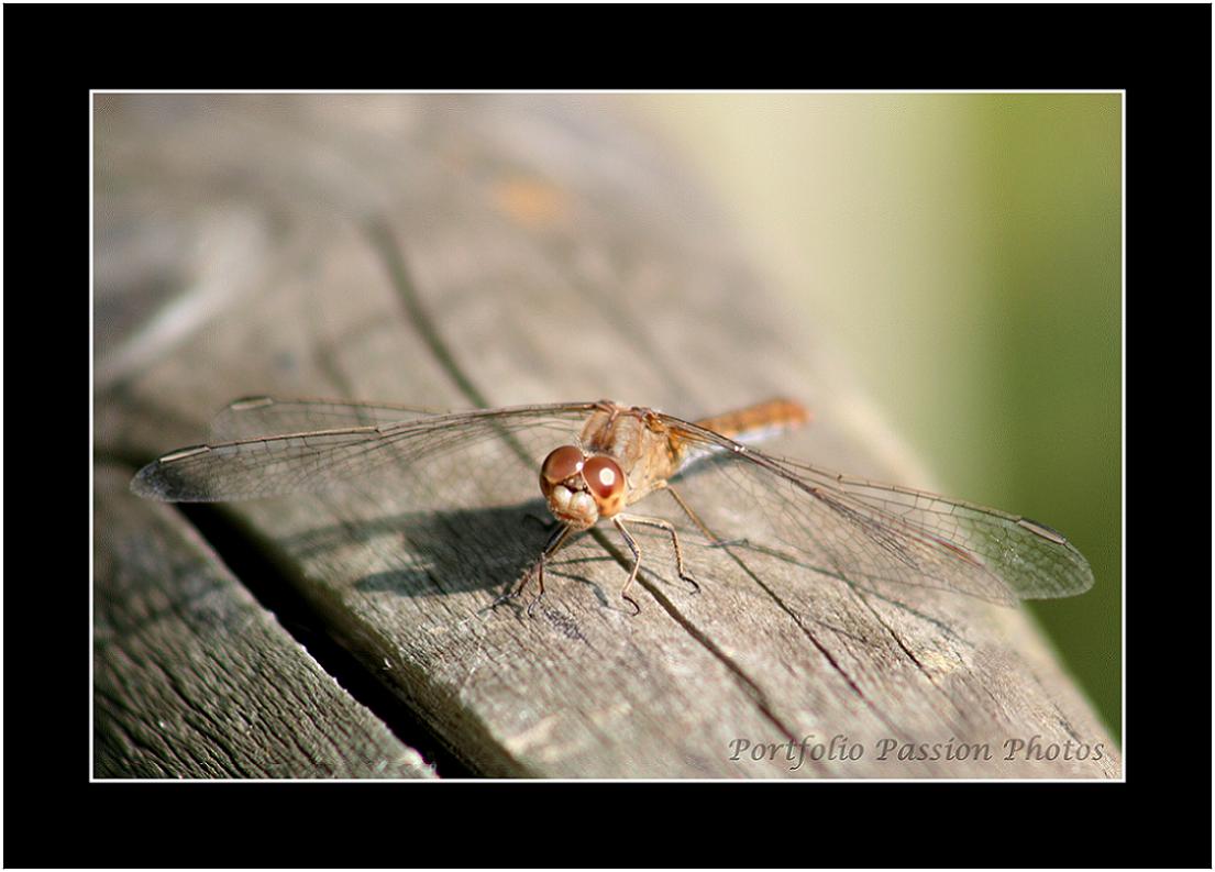 Image hébergée par Casimages.com : votre hébergeur d images simple et gratuit