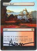 shivan reef.jpg