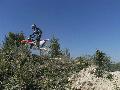 thibault