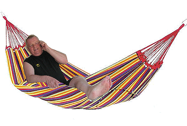 voir l'image en taille réelle
