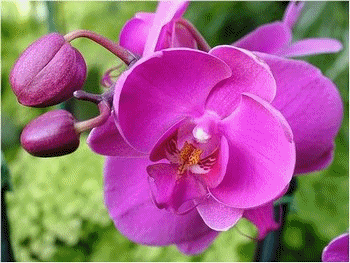 Image hberge par Casimages.com : votre hbergeur d images simple
et gratuit