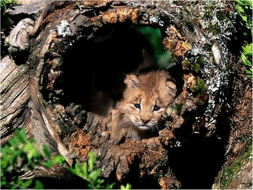Image hébergée par Casimages.com : votre hébergeur d images simple et gratuit