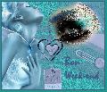 Cliquez pour afficher l'image en taille r�elle