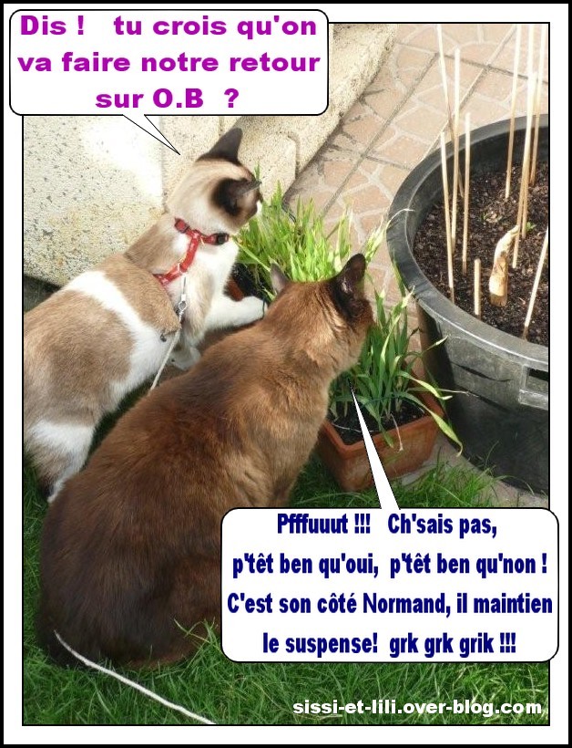 Image hébergée par Casimages.com : votre hébergeur d images simple et gratuit