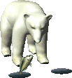 Image h�berg�e par Casimages.com : votre h�bergeur d images simple et gratuit