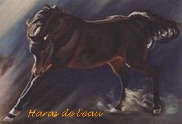 image utilisateur