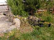 BILD0023