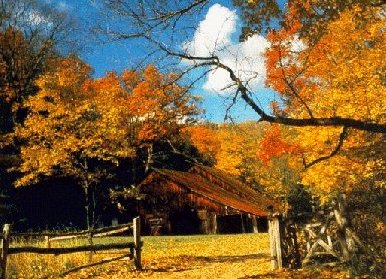 Couleurs d'automne dans citations/poèmes