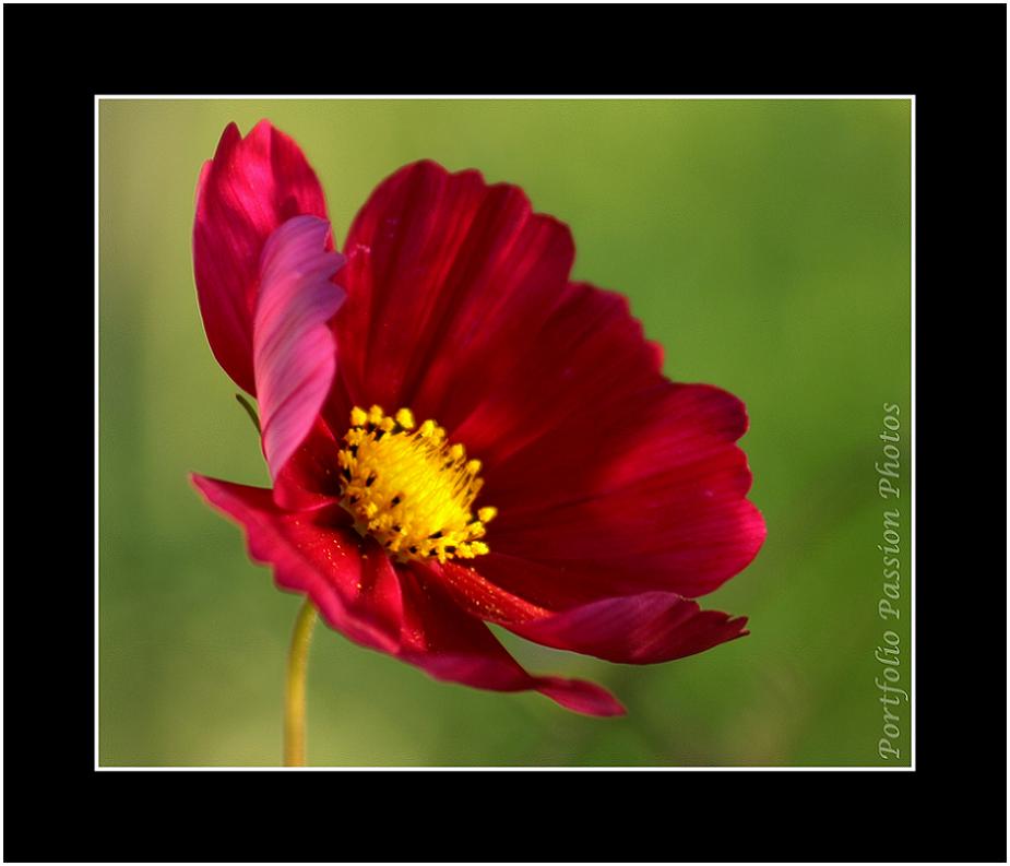 Image hébergée par Casimages.com : votre hébergeur d images simple et gratuit