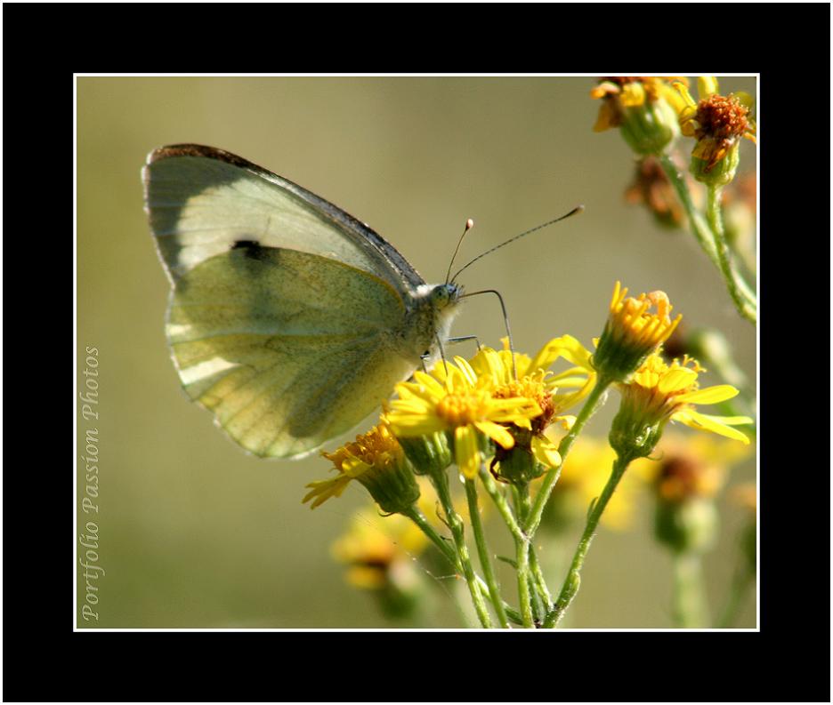 Image hébergée par Casimages.com : votre hébergeur d images simple et gratuit